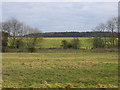 TF0802 : Farmland, Southorpe, Peterborough by Rodney Burton