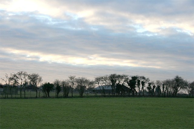 Looking northwest towards Lyewood Farm