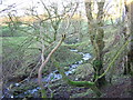 Small Gorge Near Rutherend