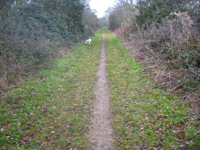 Bridleway towards Clothall