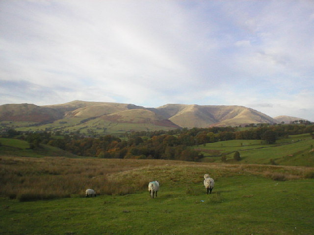 Garsdale Sheep