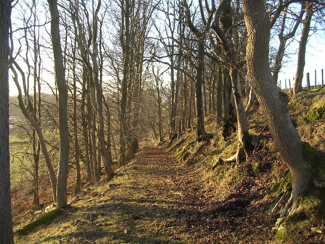 Woodland track near Easterton Farm