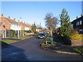 Montgomery Road, Arbury, Cambridge on Christmas Day 2005