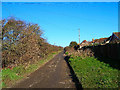 Telscombe Cliffs Way, Telscombe Cliffs