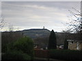 Castle Hill from Beaumont Park