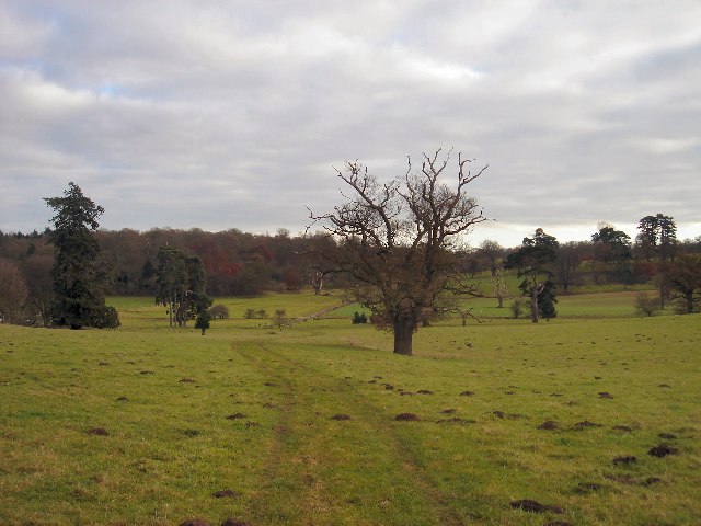 Ickworth Park from Little Saxham