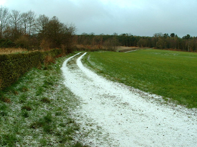 Path to Deffer Wood
