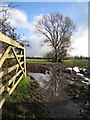 Footpath to Pillham Farm