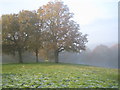 Bench in Epping Forest from Baldwins Hill