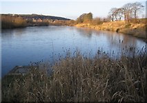 NX9814 : Mirehouse Pond. by John Holmes