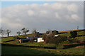 Cheriton Fitzpaine: Furze