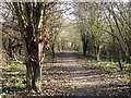 Footpath to the River Len