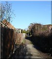 Footpath in Bearsted