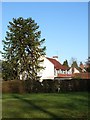 SU7574 : Monkey puzzle tree and houses, Old Bath Road, Sonning by Andrew Smith