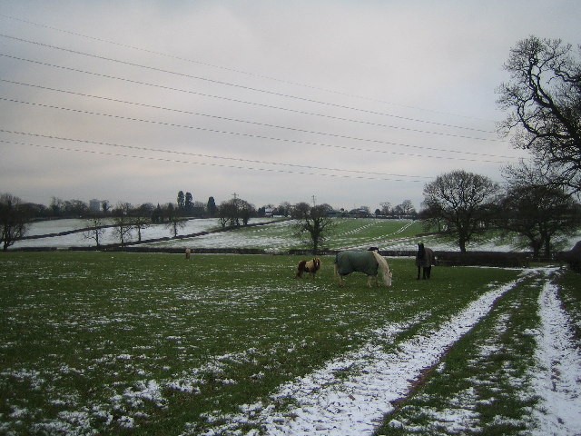 Farmland Near Upper Eastern Green