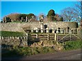 Church Ruins and Beehives