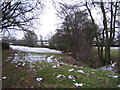 Footpath by Unnamed Brook.