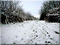 Cotton Lane, Stanwick