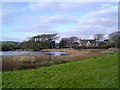 Village pond at St Brides