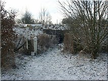 SP7914 : Foot tunnel beneath railway embankment by Katy Walters