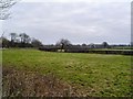 Low lying fields near Argae, Barry