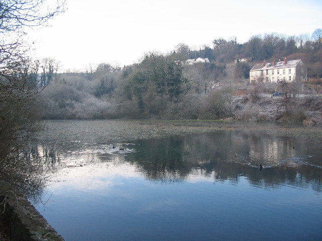 Mill Pond, Bryn Celyn