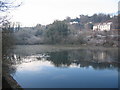 Mill Pond, Bryn Celyn