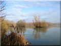 Former gravel pit, Little Marlow