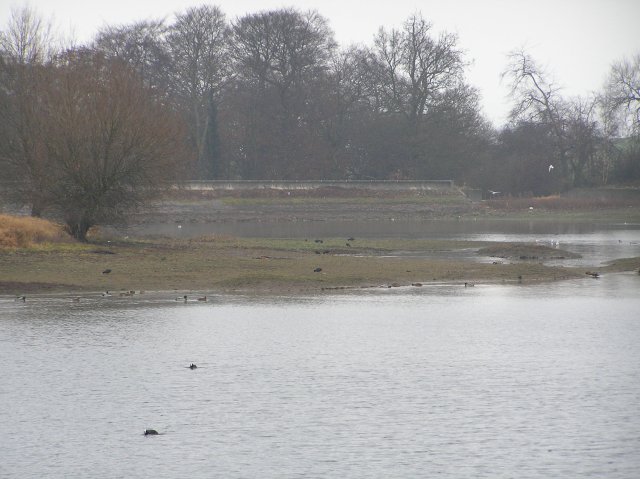 Pebley Pond
