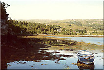 NM6060 : Glenborrodale Bay from the landing by Martin Southwood