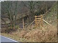 NM8500 : Ladder stile over deer fence for new forestry at Easter Eurach by Patrick Mackie
