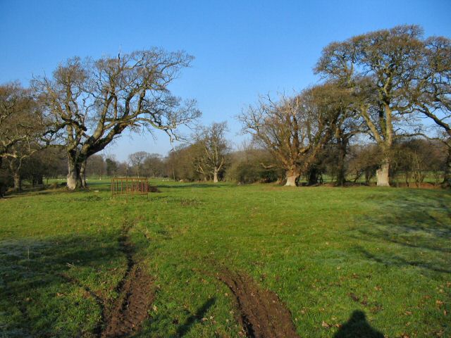 Fields near Beaupre - Vale of Glamorgan