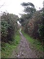 A Muddy Footpath