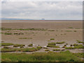 SD3074 : View across Morecambe Sands to Heysham power station by ally McGurk