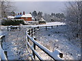 Houses on the B1230