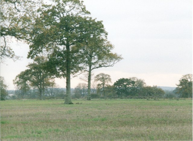 Field, south of Green Lane, Trowbridge