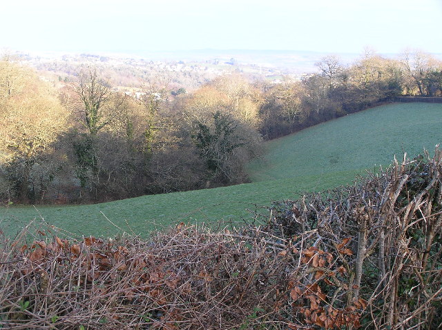 Wooded valley, looking north