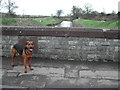 Congresbury Bridge on the A370