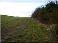 Field near Princes Risborough