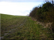 SP8002 : Field near Princes Risborough by Graham Clutton