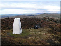 SK0273 : Trig point, Burbage Edge by Dave Dunford
