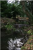 SE2685 : The Water Steps, Thorp Perrow Arboretum by Sandy Holland