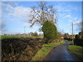 Walsh Lane from Eaves Green Road