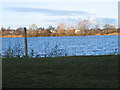 Flagham Lake, Lower Mill Estate