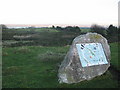 Halkyn Mountain Common