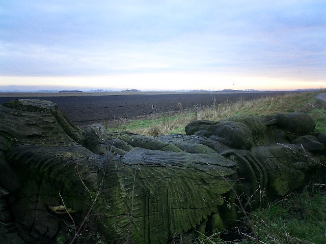 Wooden carving on Carr Dyke at top of Nocton Delph, looking east