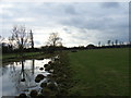 White Brook, Widbrook Common