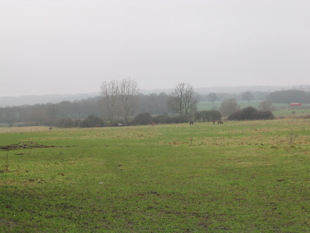 Field near River Roding and M11