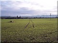 Tractor Tramlines and Site of Windpump