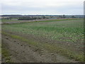 View towards Coldham Lodge Farm